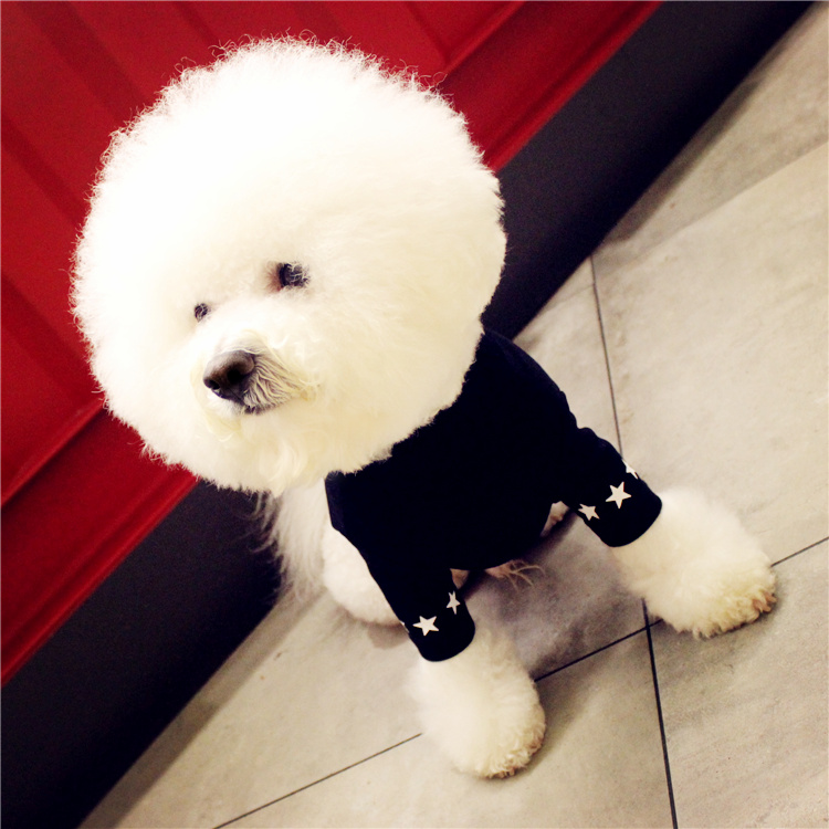 NEW DOG FASHION dog clothes sniff star shape all-i