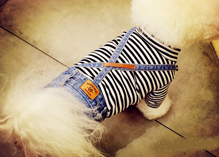 NEW DOG FASHION dog clothes sniff star shape all-i