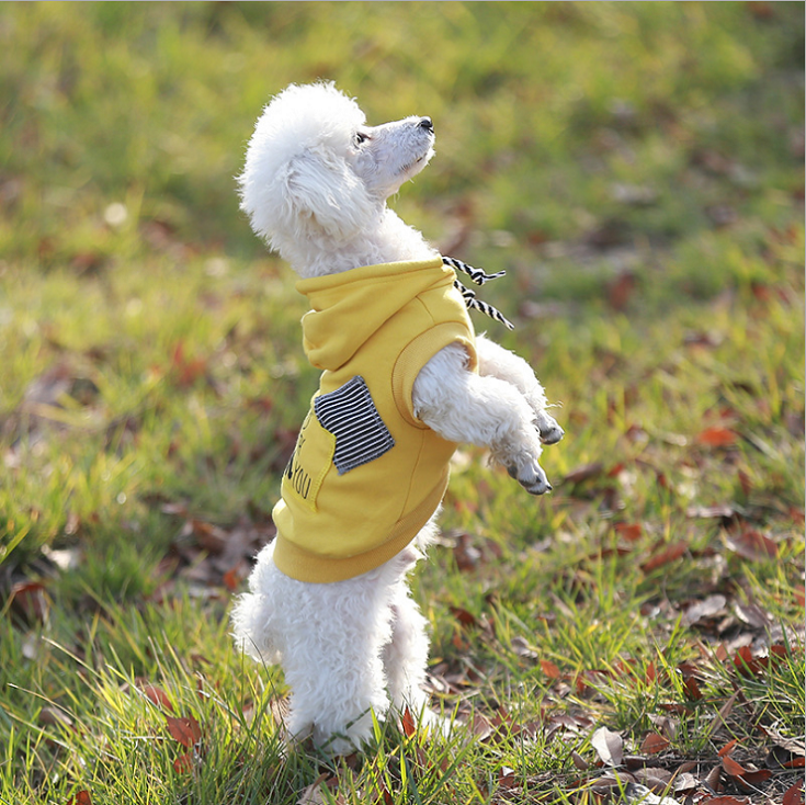 NEW DOG FASHION dog clothes sniff star shape all-i