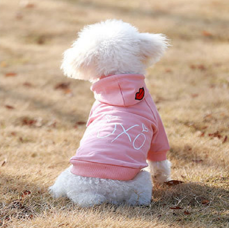 NEW DOG FASHION dog clothes sniff star shape all-i