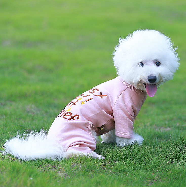 NEW DOG FASHION dog clothes sniff star shape all-i
