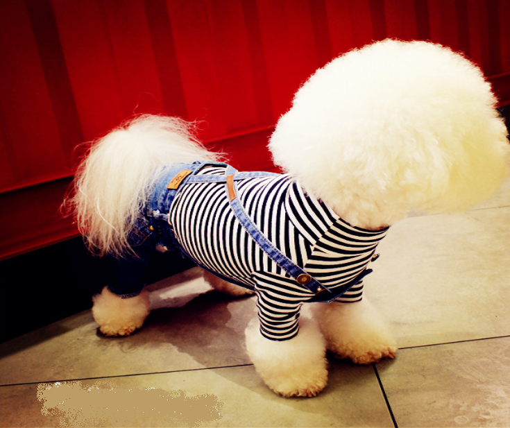 NEW DOG FASHION dog clothes sniff star shape all-i