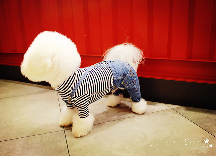 NEW DOG FASHION dog clothes sniff star shape all-i