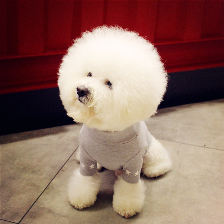 NEW DOG FASHION dog clothes sniff star shape all-i