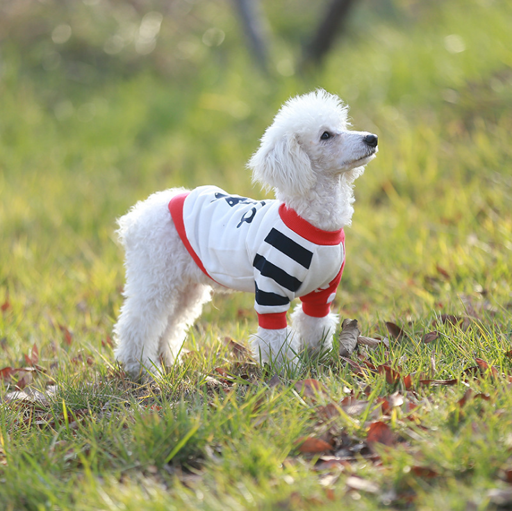NEW DOG FASHION dog clothes sniff star shape all-i