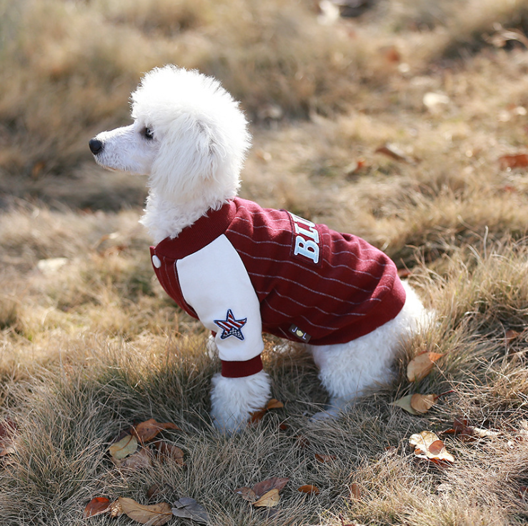 NEW DOG FASHION dog clothes sniff star shape all-i