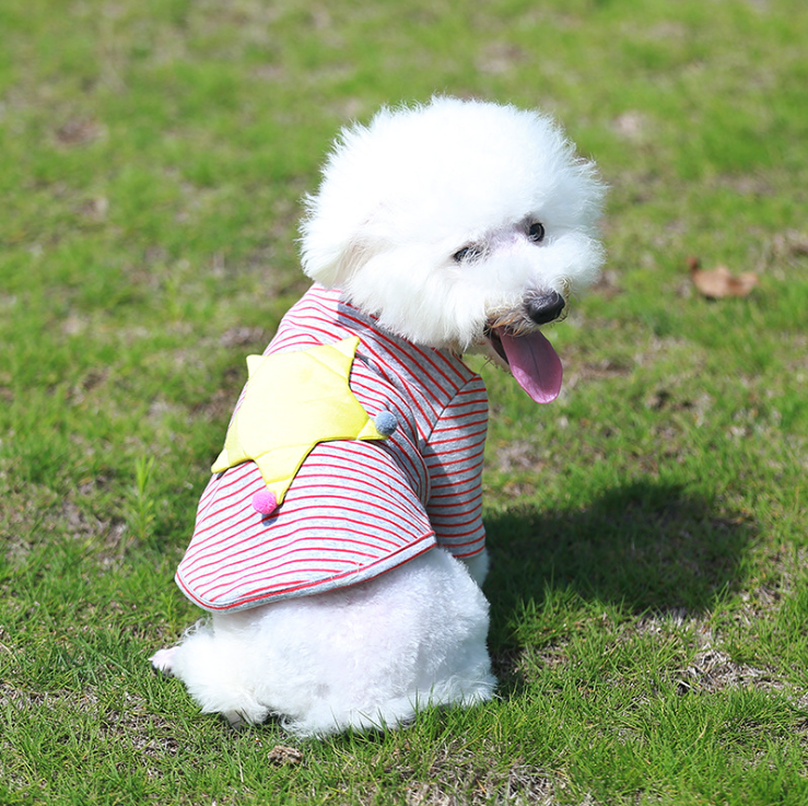 NEW DOG FASHION dog clothes sniff star shape all-i