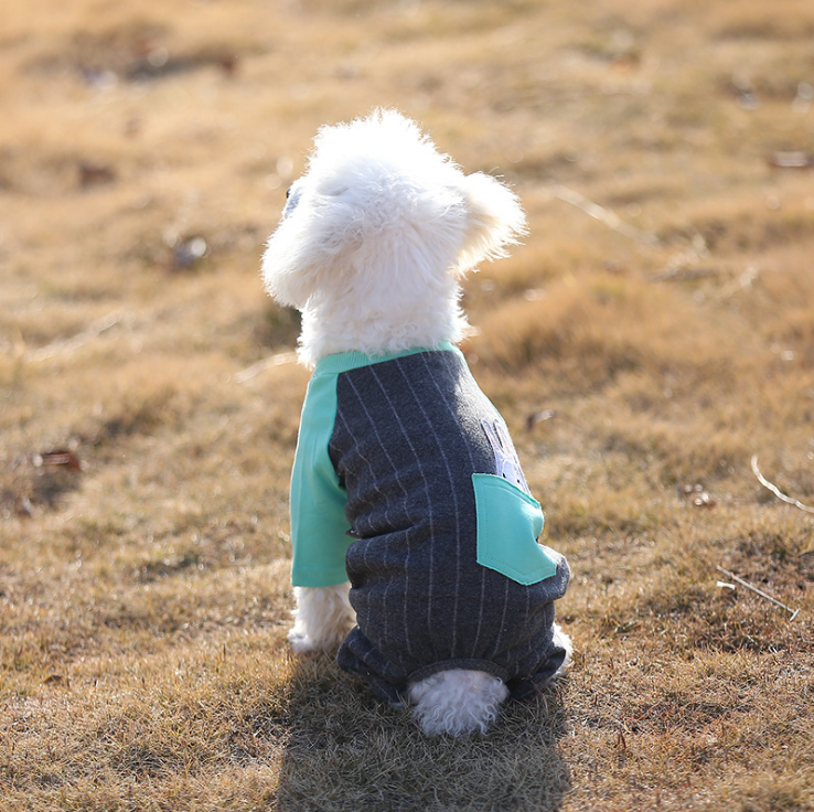 NEW DOG FASHION dog clothes sniff star shape all-i