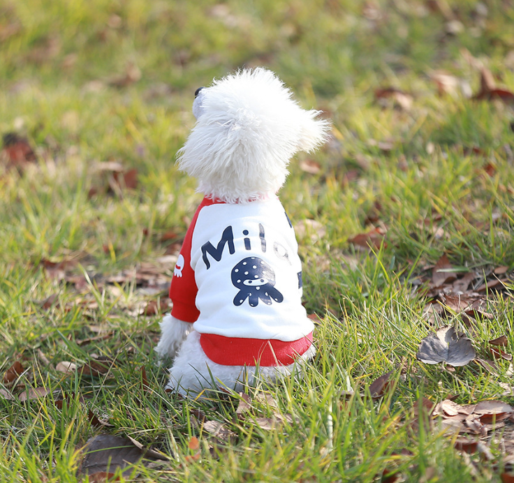 NEW DOG FASHION dog clothes sniff star shape all-i
