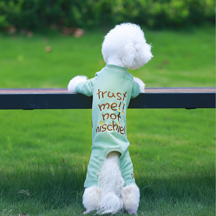 NEW DOG FASHION dog clothes sniff star shape all-i