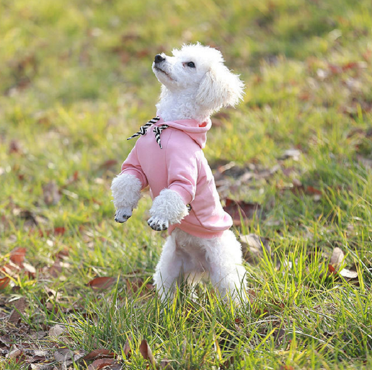 NEW DOG FASHION dog clothes sniff star shape all-i