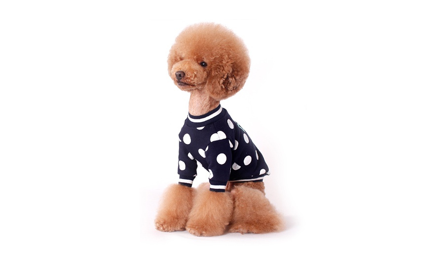 NEW DOG FASHION Pretty dog ​​clothes Bric Brick do