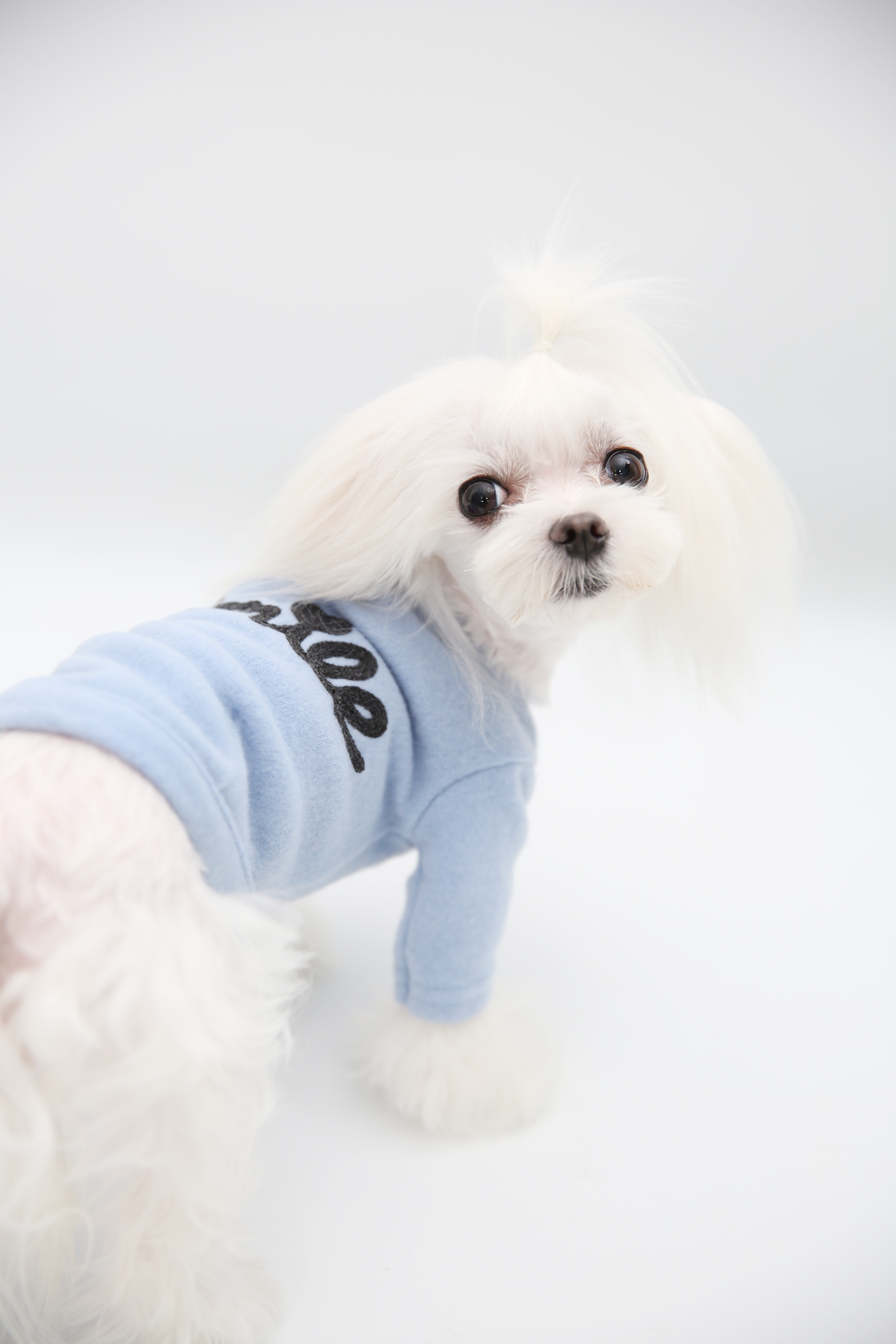 NEW DOG FASHION soft smile T-shirt dog clothes lon