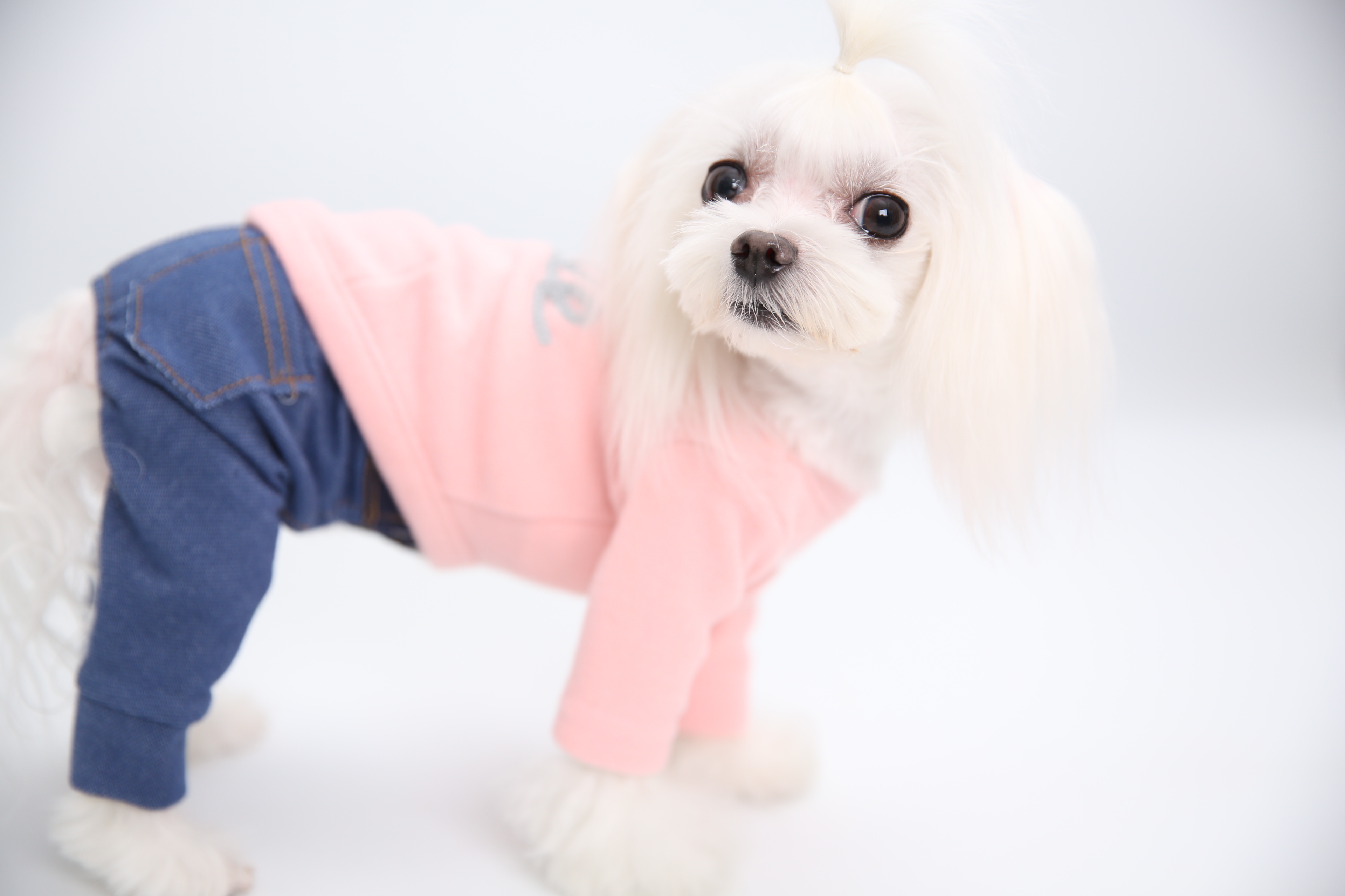 NEW DOG FASHION soft smile T-shirt dog clothes lon
