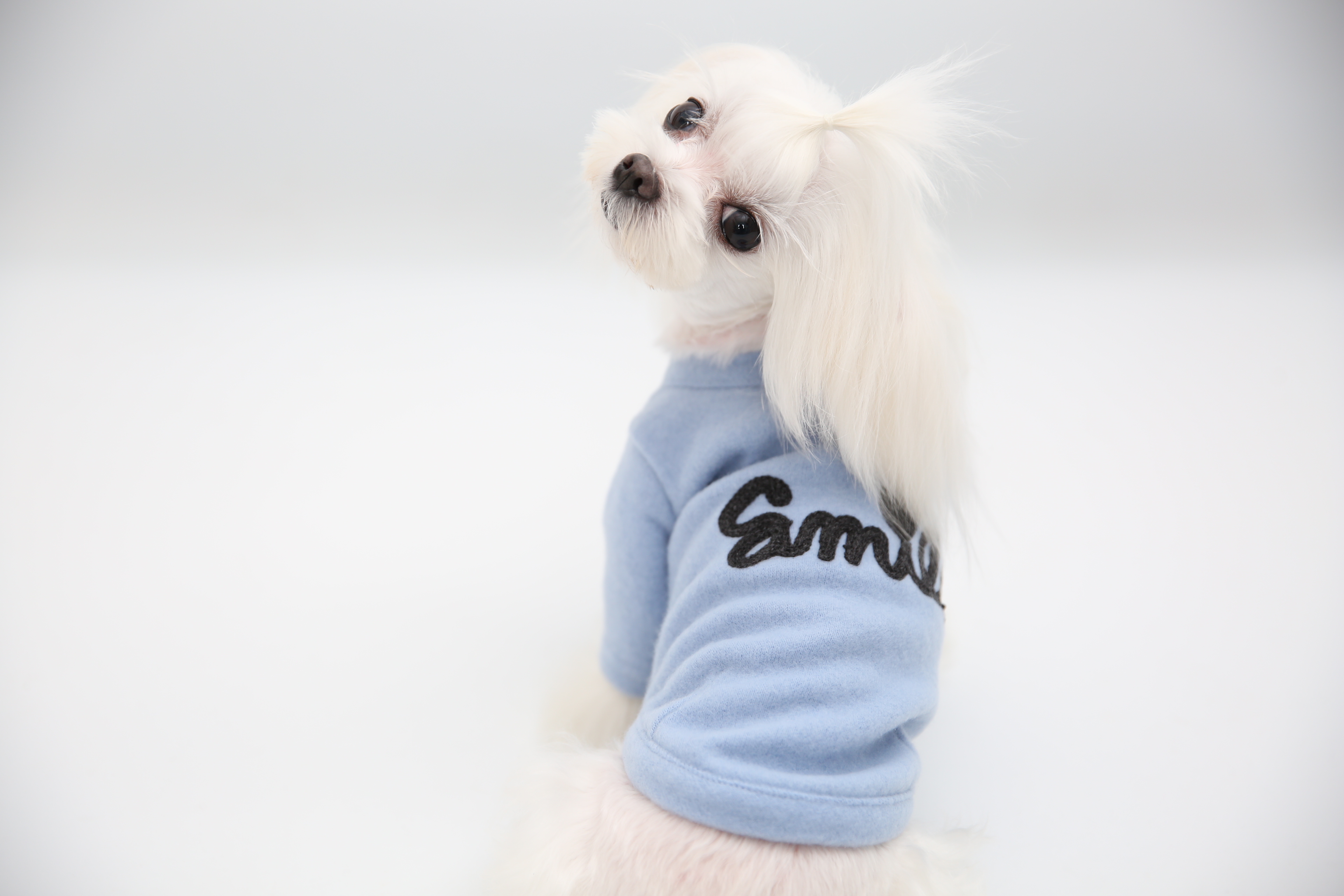 NEW DOG FASHION soft smile T-shirt dog clothes lon