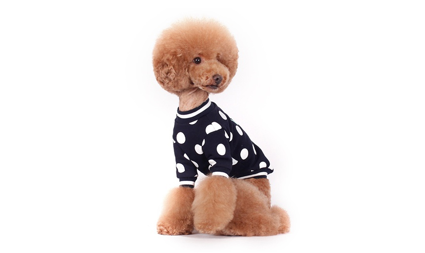 NEW DOG FASHION Pretty dog ​​clothes Bric Brick do