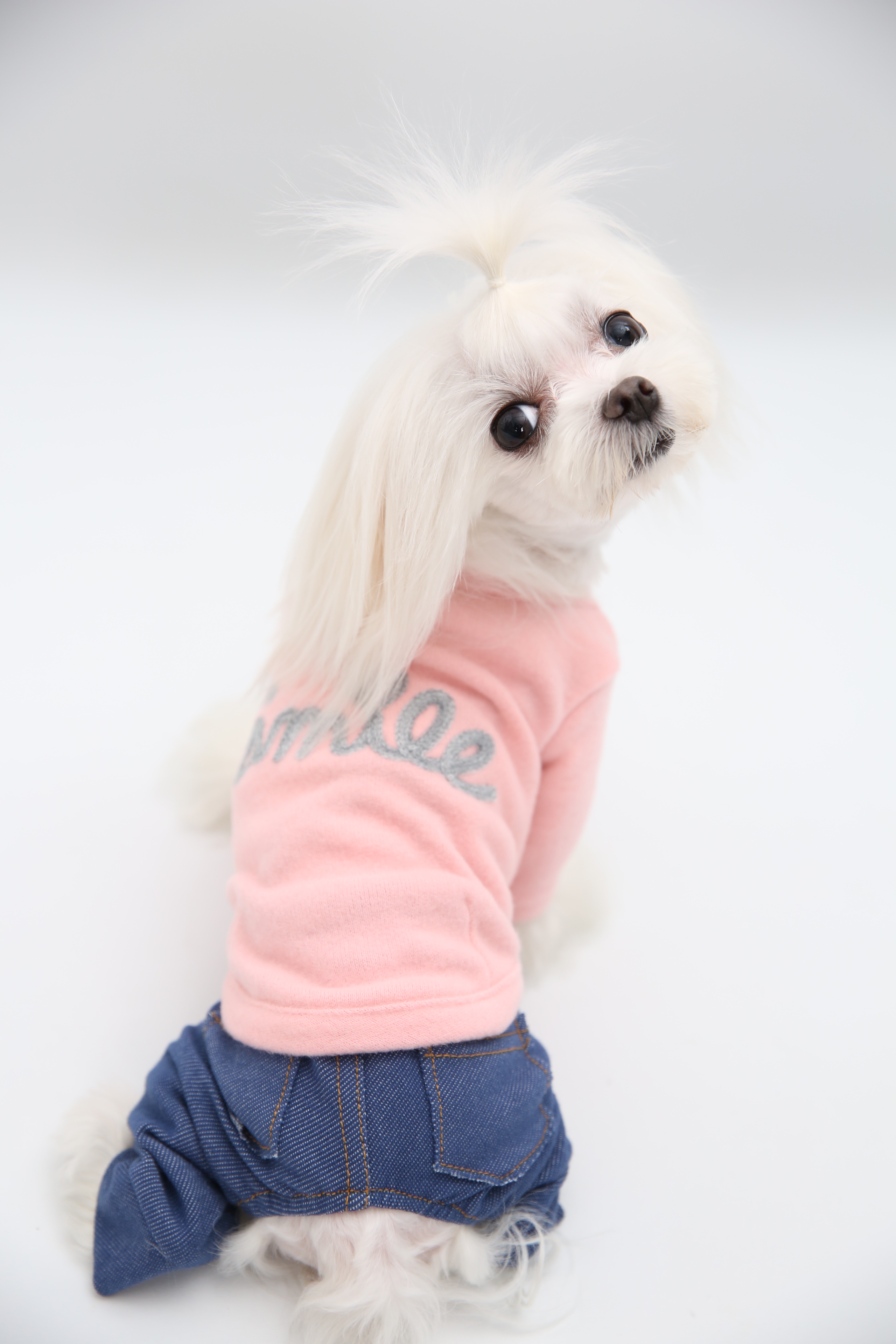 NEW DOG FASHION soft smile T-shirt dog clothes lon