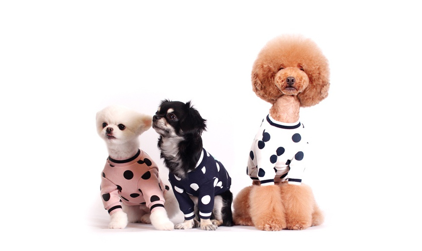 NEW DOG FASHION Pretty dog ​​clothes Bric Brick do