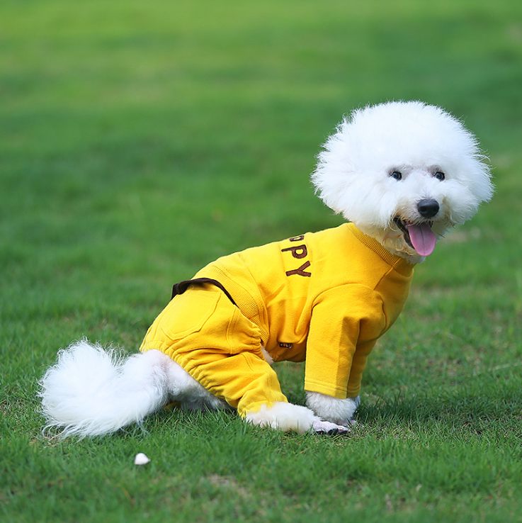 NEW DOG FASHION dog clothes HAPPY all-in-one fall 