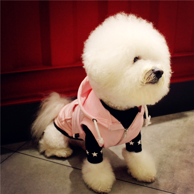 NEW DOG FASHION Dog Clothing Star T-shirt Autumn C