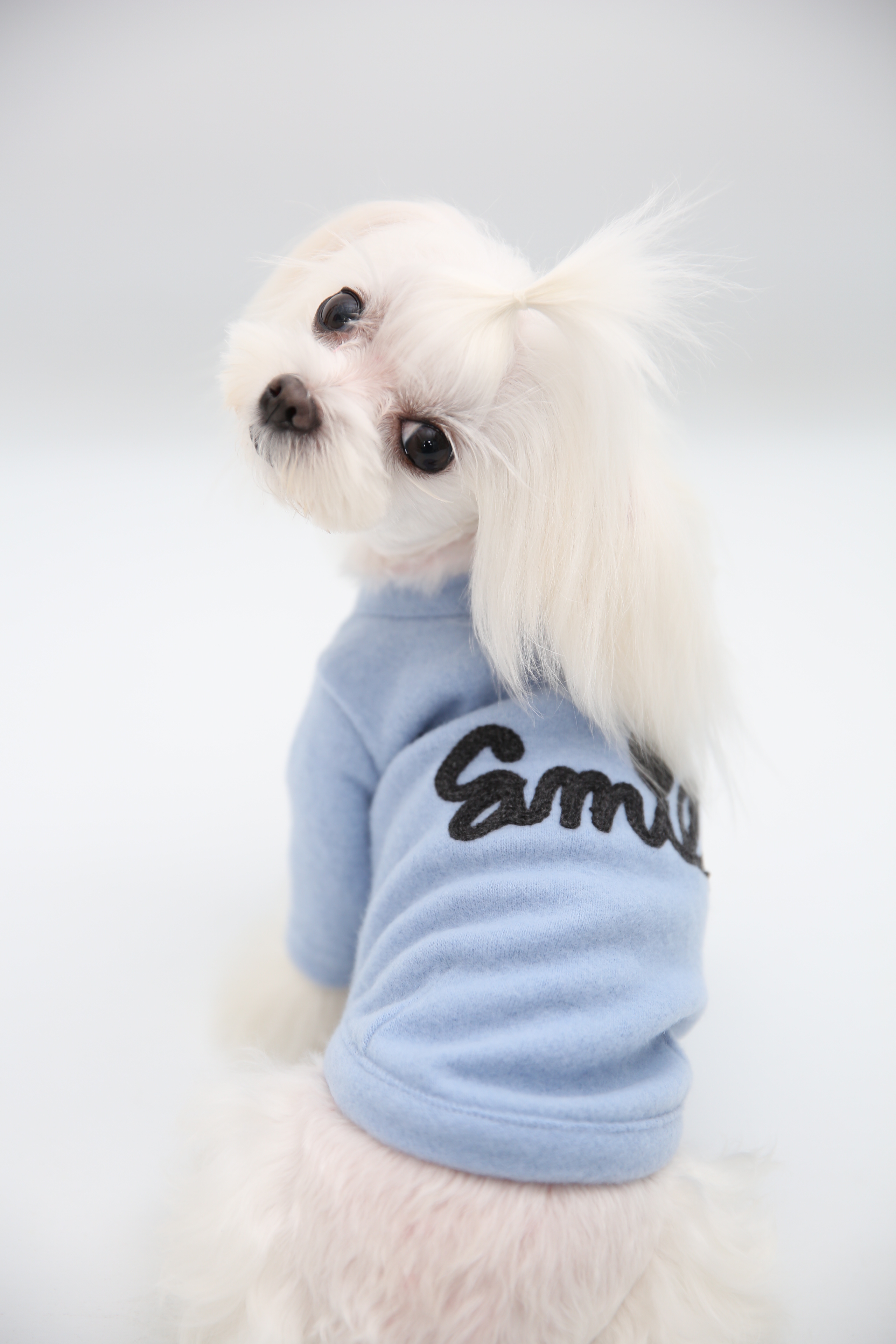 NEW DOG FASHION soft smile T-shirt dog clothes lon