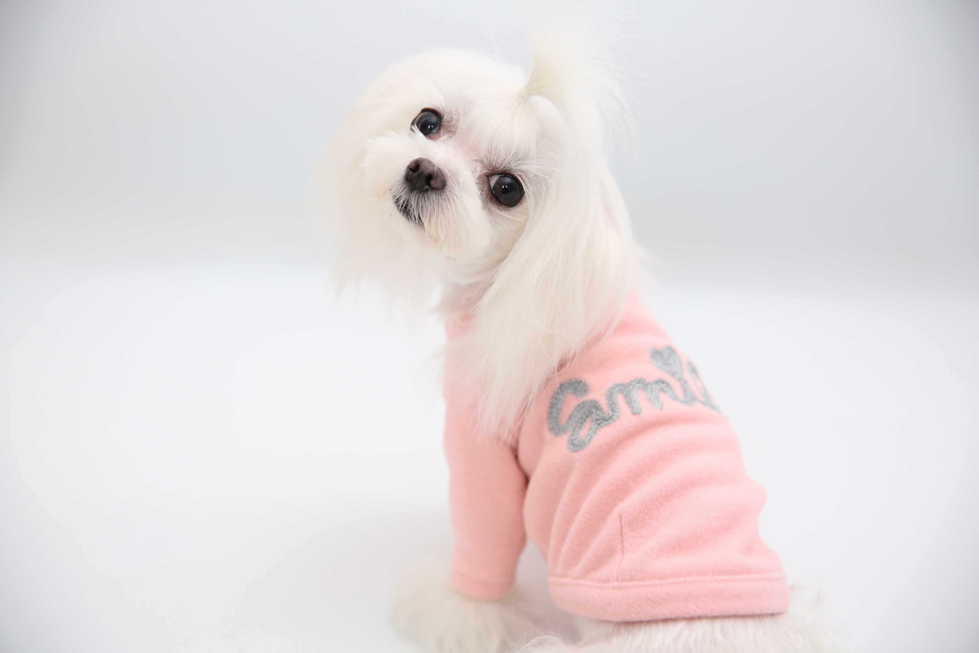 NEW DOG FASHION soft smile T-shirt dog clothes lon