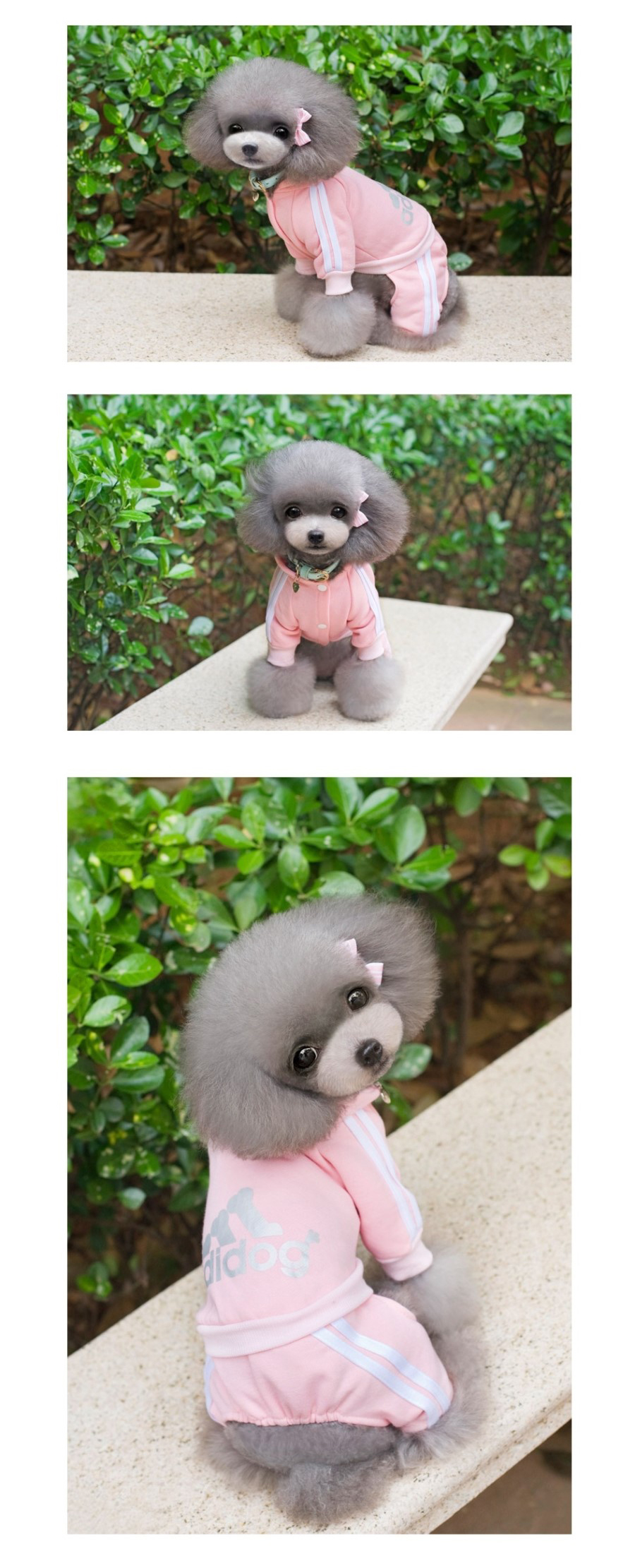 NEW DOG FASHION Doggy Doggy Doggy Bridesmaid Sweat