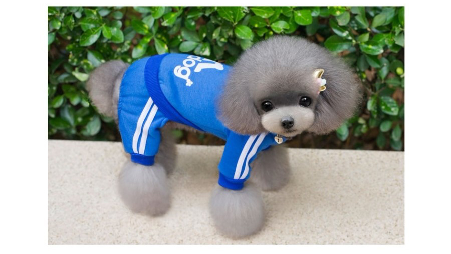 NEW DOG FASHION Doggy Doggy Doggy Bridesmaid Sweat