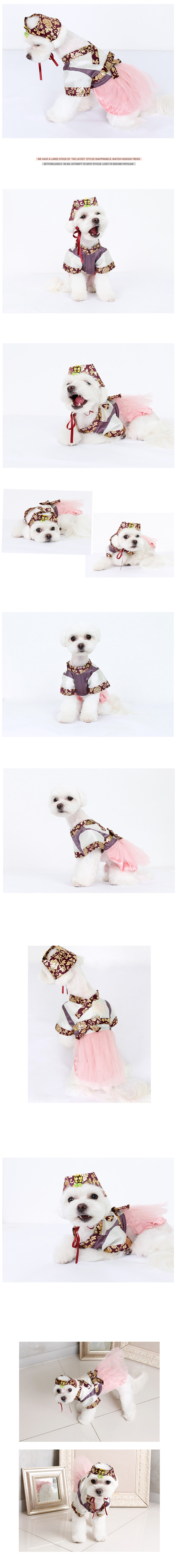 NEW DOG FASHION Hanbok Hanbok puppy dog ​​cat clot