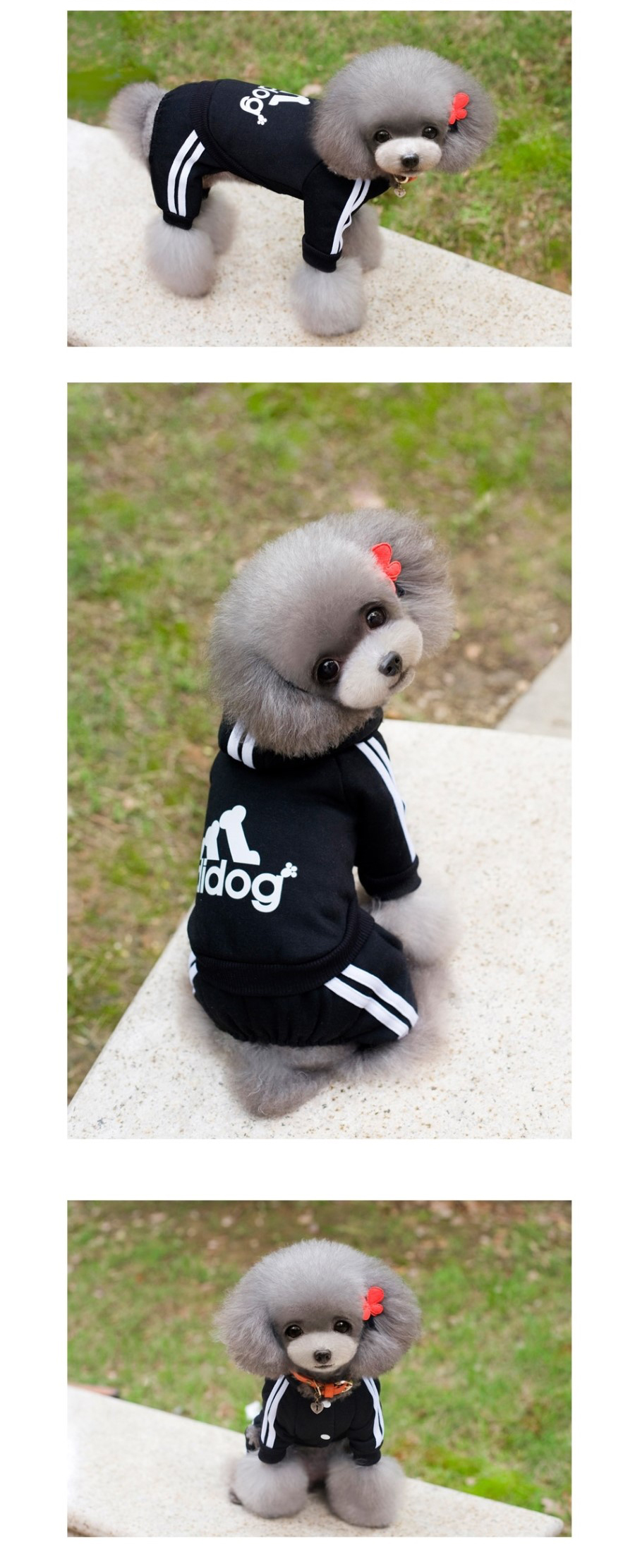 NEW DOG FASHION Doggy Doggy Doggy Bridesmaid Sweat