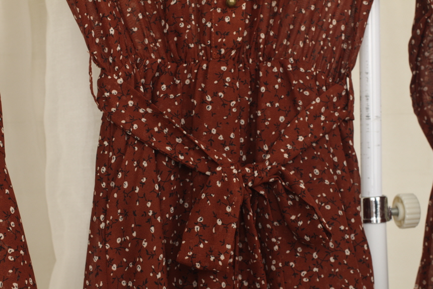 New Women Dress Flower Chiffon Autumn Long Dress R