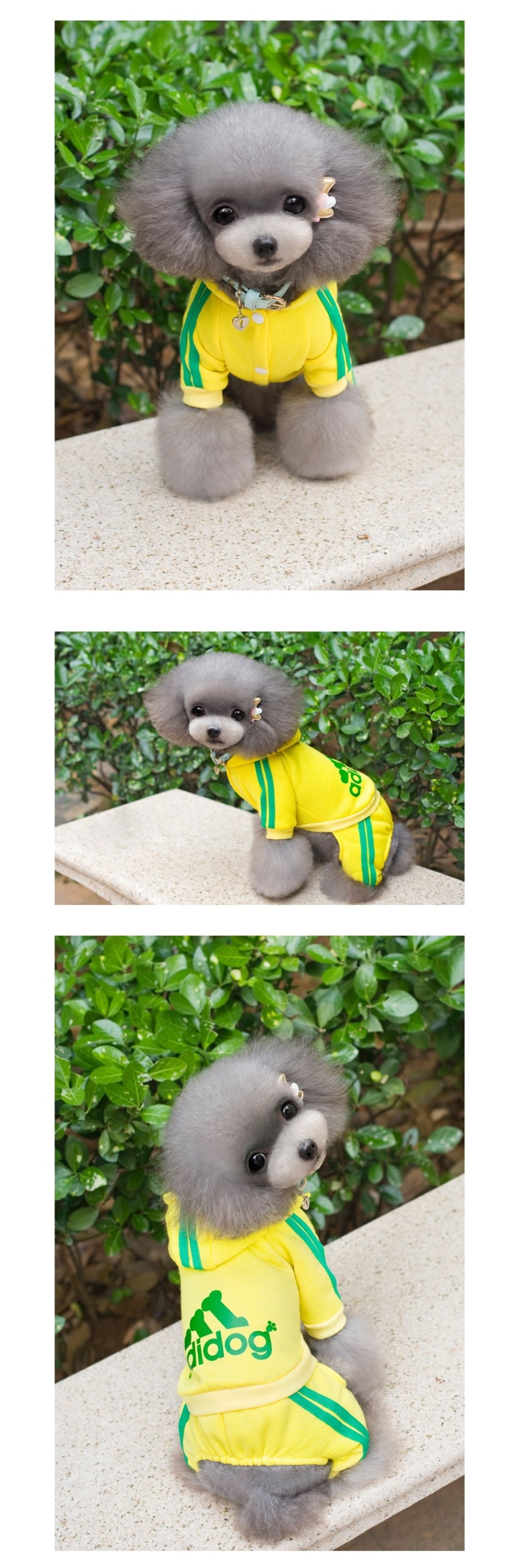 NEW DOG FASHION Doggy Doggy Doggy Bridesmaid Sweat