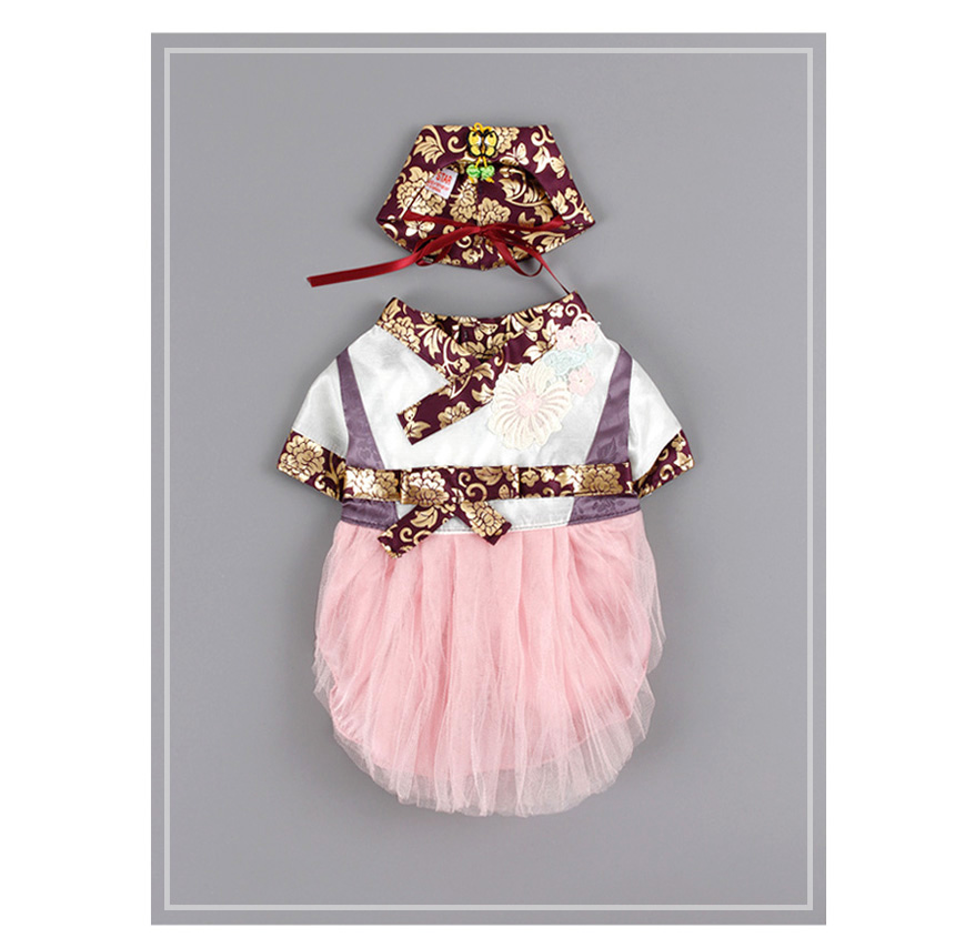 NEW DOG FASHION Hanbok Hanbok puppy dog ​​cat clot