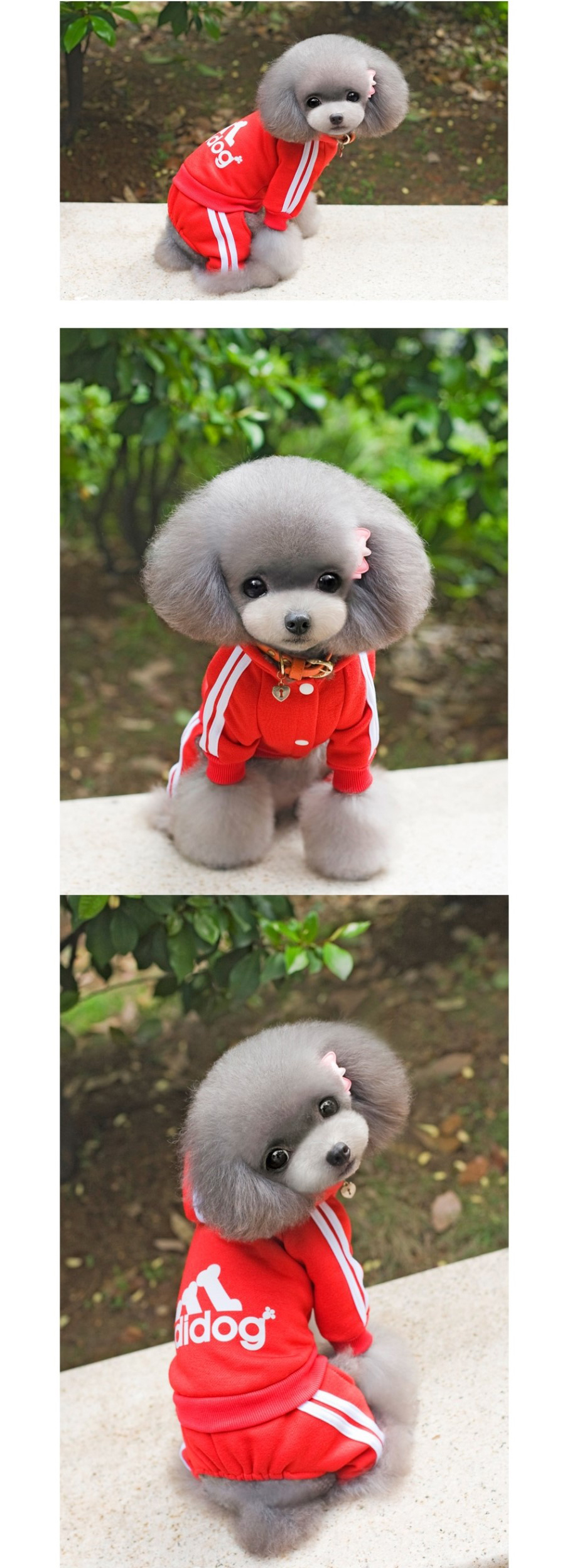 NEW DOG FASHION Doggy Doggy Doggy Bridesmaid Sweat