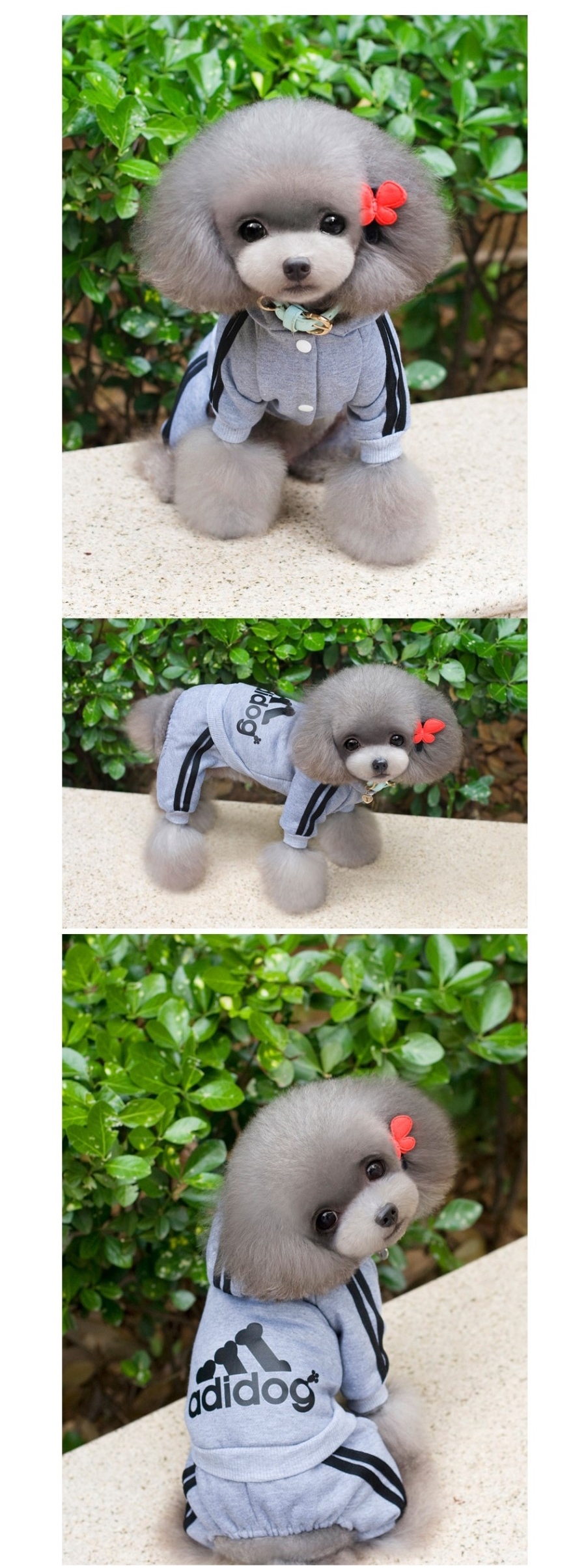 NEW DOG FASHION Doggy Doggy Doggy Bridesmaid Sweat