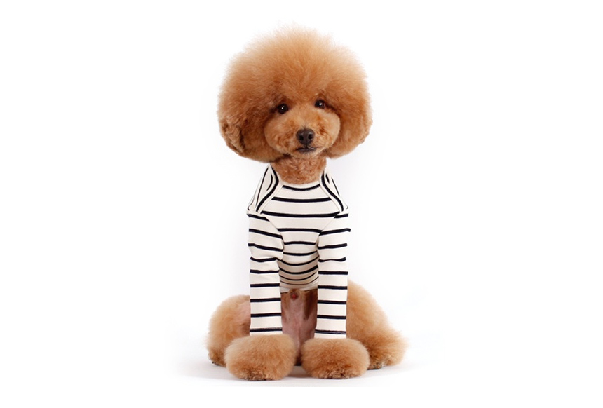 NEW DOG FASHION Brick Brick Dog Unusual Clothing D