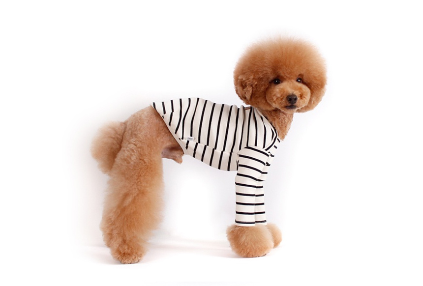 NEW DOG FASHION Brick Brick Dog Unusual Clothing D