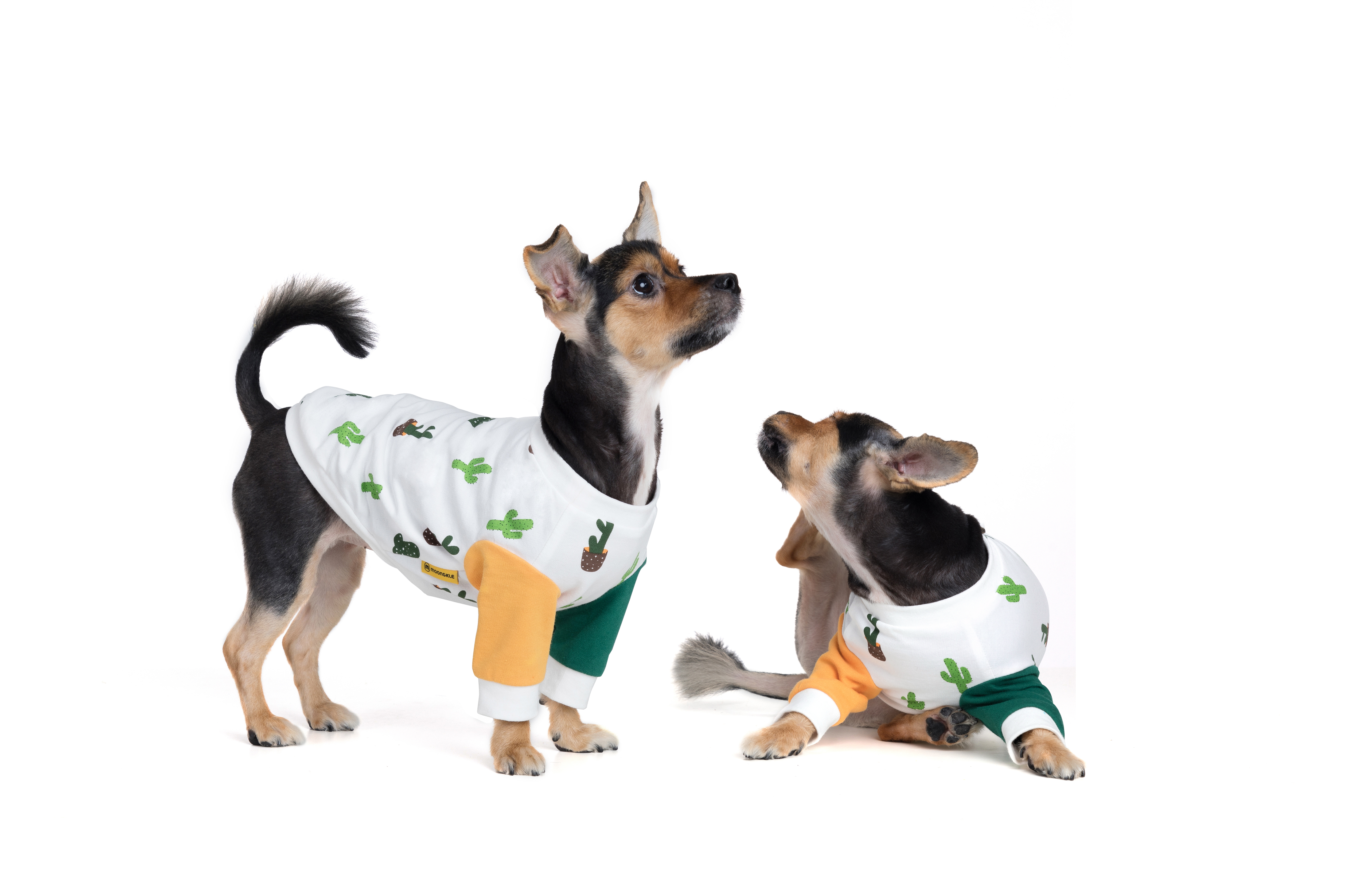 NEW DOG FASHION 클 불 Burning Love ~ Cactus T-shirt 