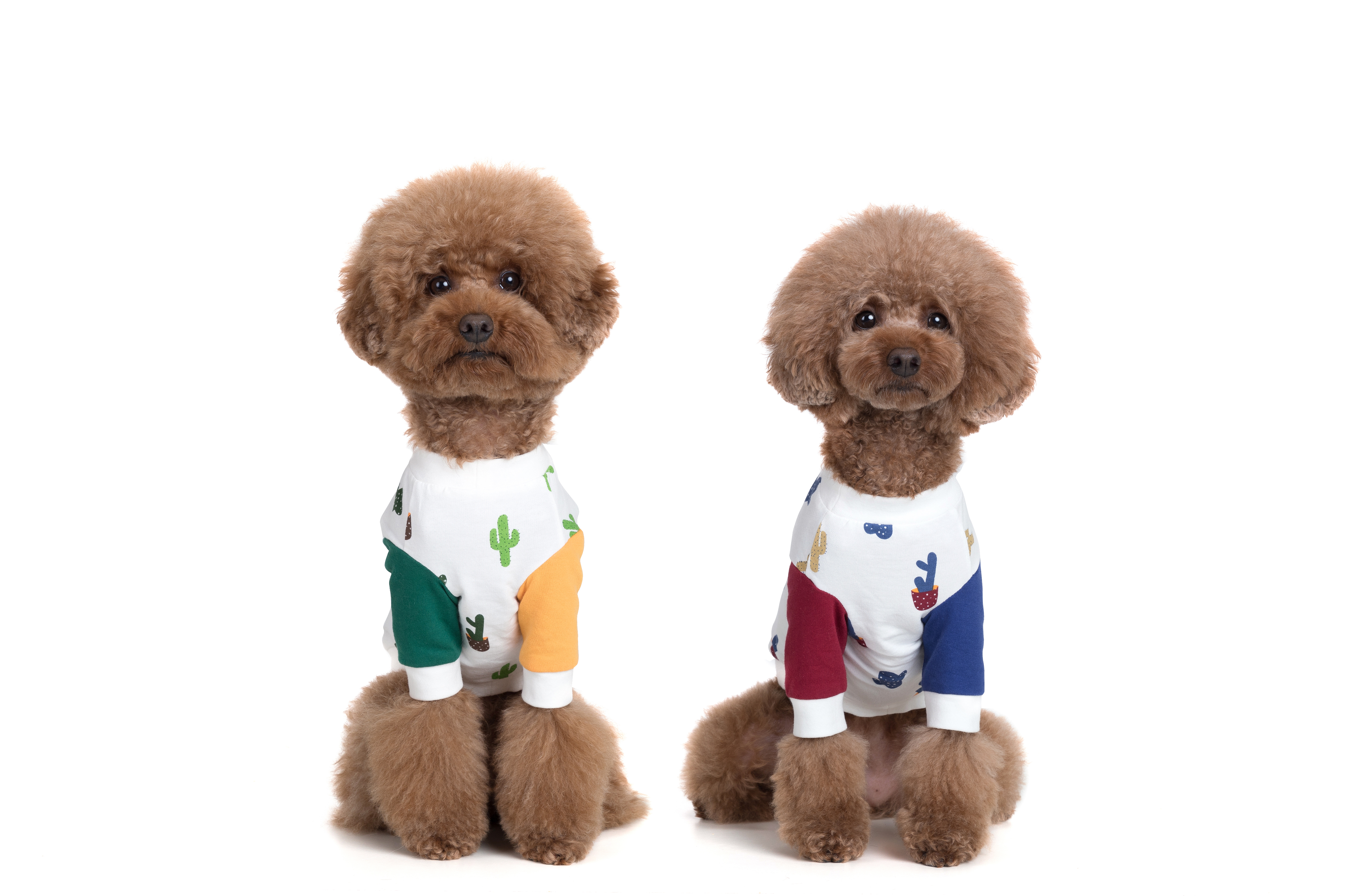 NEW DOG FASHION 클 불 Burning Love ~ Cactus T-shirt 