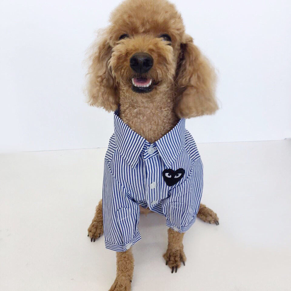 NEW DOG FASHION Stripe Combed Shirt