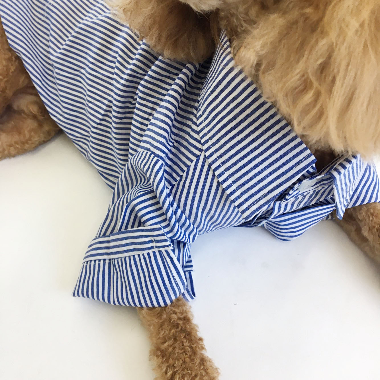 NEW DOG FASHION Stripe Combed Shirt