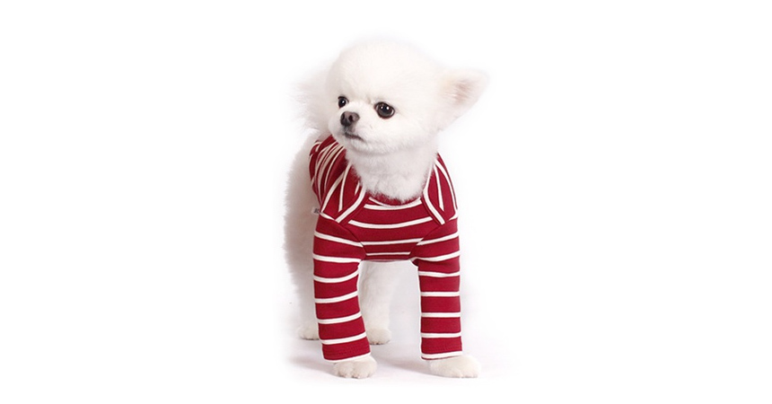 NEW DOG FASHION Puppy Unusual Clothing Brick Brick