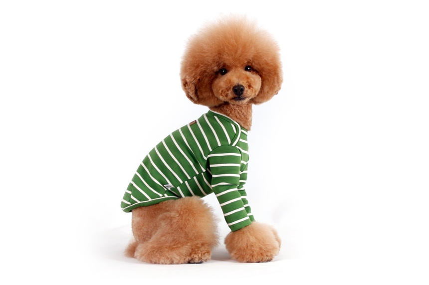 NEW DOG FASHION Brick Brick Dog Unusual Clothing D