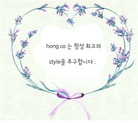 New Ribbon Point Tong Hairpin Hairpin Female Silfi