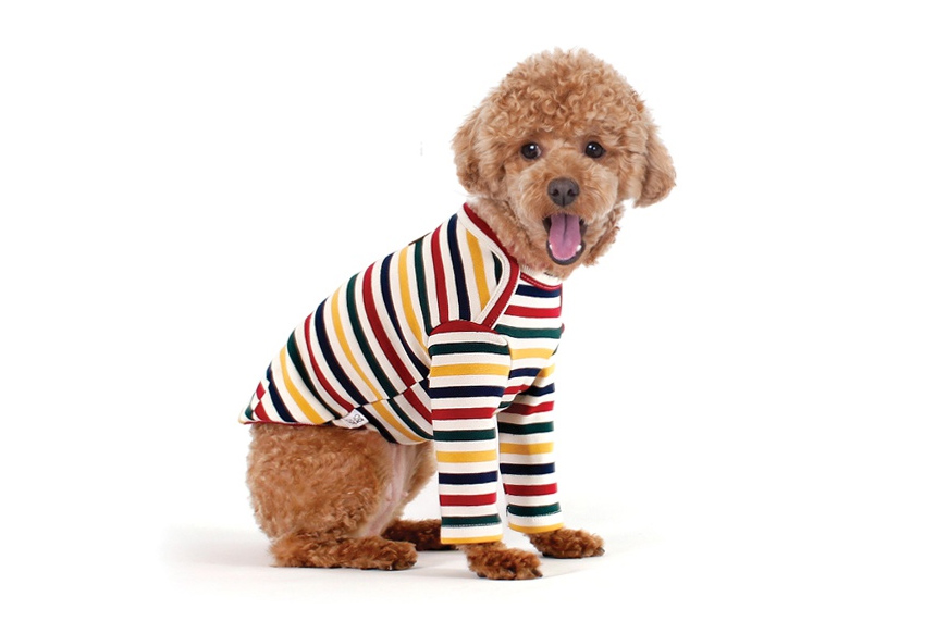 NEW DOG FASHION Brick Brick Dog Unusual Clothing D