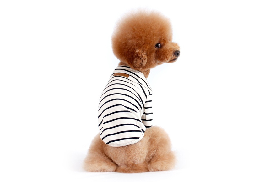 NEW DOG FASHION Brick Brick Dog Unusual Clothing D