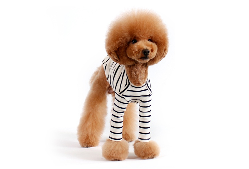 NEW DOG FASHION Brick Brick Dog Unusual Clothing D