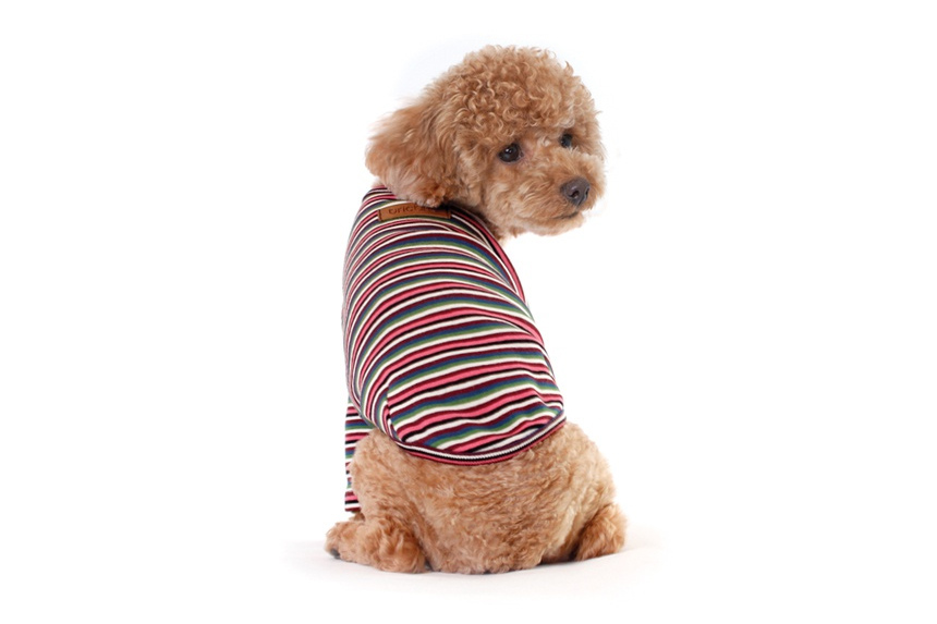 NEW DOG FASHION Brick Brick Dog Unusual Clothing D
