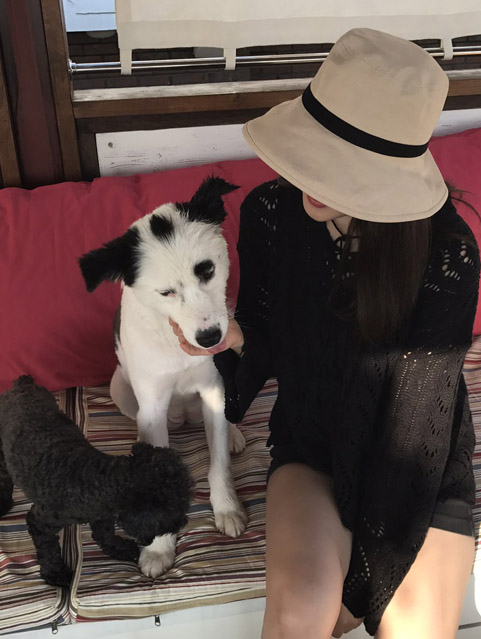 Women Sun Hats Unisex Daily Cotton Buckets Hat Hat