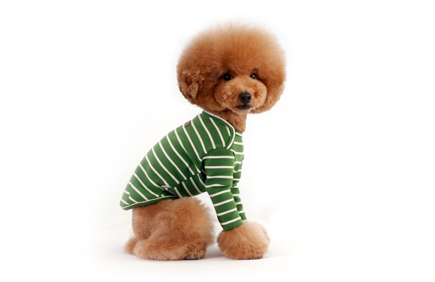 NEW DOG FASHION Brick Brick Dog Unusual Clothing D